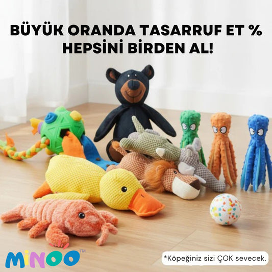 Minoo™ Ultimate Oyuncak Paketi